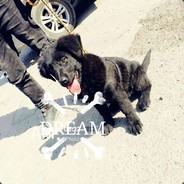 骑着毛驴撅着嘴