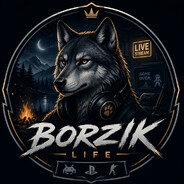 BORZIK Steam avatar