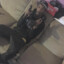 Wooski