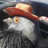 ᴘᴏᴍʙᴀ ᴅᴏ ᴀɢʀᴏ