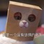 王日天