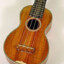 Ukulele's avatar