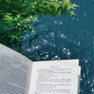 买一支狗尾巴草