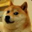 Doge
