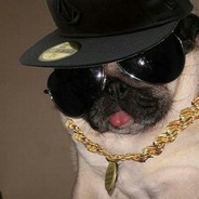 Sniperpug15