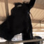 highly intelligent horse