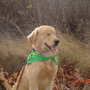 Przykladowy z Bogdańca