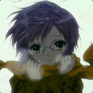 不是树懒是考拉