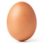 the egg