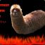 Raci_le_Lama