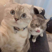 起飞