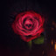 Hummie =) ♥ 0