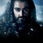 OakenShield