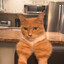 Meowing