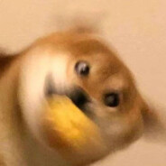 玩偶姐姐的摄影师