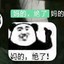花里胡哨不起烟