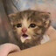 Ledeoldon's avatar