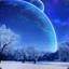 Winterland