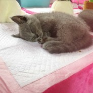 别开枪自己人呀