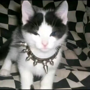 Park Chung Hee-Official