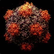Pan S. Clock avatar