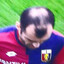 Goran Pandev