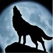 a4e$ avatar