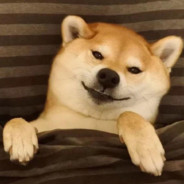 NAVI28岁天才少年