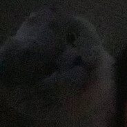 Гадаю по вульвам