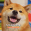 Fummy Shibe