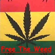 ι†'$  lιløu βια†ch