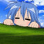 Sleer