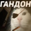 FillTheBogatch