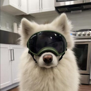 泥头车创创子🚗