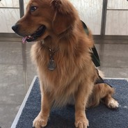 尼古拉斯丶魔鬼筋肉人