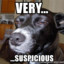 Very Suspicious