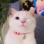 湖州三院FPS天才