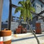 COQUEIRO EM VERTIGO