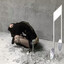вормикс player