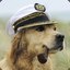 Captain Dog