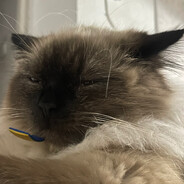 pro100 3.14159265359zda