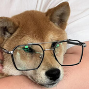 橙子橙子噢润举