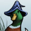 Duck Wizard