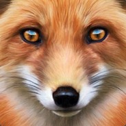 TheFox avatar