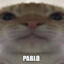 PABLO