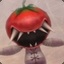 Rogue Tomato