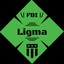 傻瓜-Ligma-