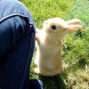 <L-BG>Lucky Striker @BACK