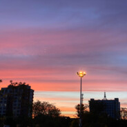 北方孤傲的老狼