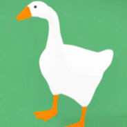 CurseForge profile picture for @geese